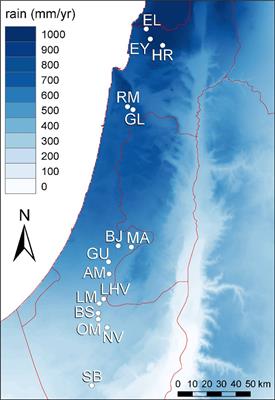 Ecotypic differentiation of leaf silicon concentration in the grass Brachypodium hybridum along a rainfall gradient